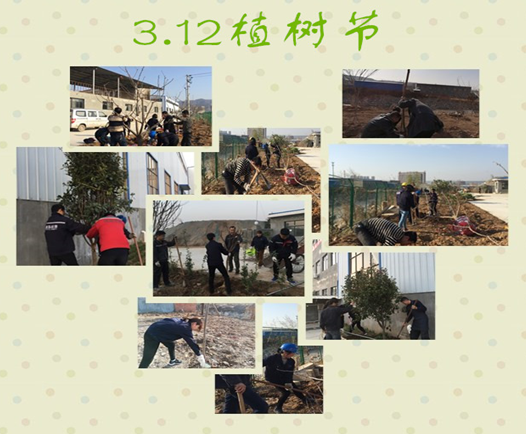 寶雞捷銳“迎春風(fēng)，綠家園”植樹節(jié)(圖3)